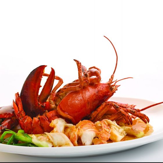 Lobster_braised_with_Superior_Broth_กุ้งบอสตันล็อบเตอร์ตุ๋นนํ้าซุป_.jpg